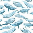 Whales. Projekt z dziedziny Trad, c, jna ilustracja i Pattern design użytkownika Gloria CaRo - 20.03.2020