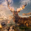 Mi Proyecto del curso: Fotomontaje surrealista con Photoshop . Un projet de Retouche photographique de César Vargas - 02.04.2020