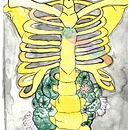 dibujo anatomico y acuarelas. Un progetto di Disegno e Pittura ad acquerello di Anto Zuniga - 05.04.2020