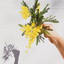 Mi Proyecto del curso: Fotografía profesional para Instagram. Composição fotográfica, Fotografia, Fotografia com celular, e Fotografia do produto projeto de Nagore Valera Boado - 06.04.2020
