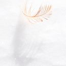 Criogénesis. Fine-Art Photograph project by Guada Caulín - 02.10.2018