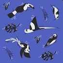 Panama Birds. Un progetto di Illustrazione tradizionale e Pattern design di Natalia Tertusio - 09.04.2020