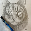 Maine Coon grafito. Een project van Tekening met potlood van Santiago Rodríguez - 11.04.2020