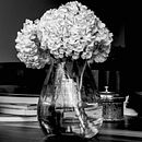 Mi Proyecto del curso: Fotografía en blanco y negro: revelado y retoque digital. Un proyecto de Fotografía de Victor Perez - 12.04.2020