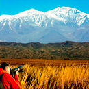 Meu projeto do curso: Iniciação ao retoque fotográfico com o Photoshop . Compoziție fotografică de Brian Feher Zilenovski - 04.14.2020