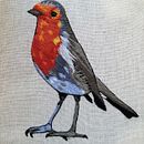 Mi Proyecto del curso: Pintar con hilo: técnicas de ilustración textil . Broderie de Lilia Serrato - 04.15.2020