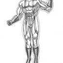 Mi Proyecto del curso: Ilustración para cómics: anatomía de un superhéroe. Pencil Drawing project by cristian leguiza - 04.15.2020