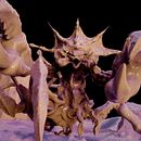 Escultura digital de criaturas fantásticas con ZBrush: Kraken. 3D, Sculpture, and 3D Modeling project by Alan Morales Garcia - 04.29.2020