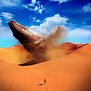 Desert Whale. Digital Design, Graphic Design, and Digital Illustration project by Cristian Alvarez - 04.16.2020