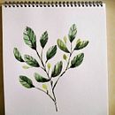 Watercolor practice . % mrnbagtas tarafından hazırlanan Sulubo, Ve a Resim projesi - 04.16.2020