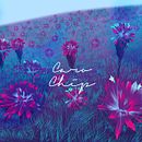 Portafolio 2020 Ein Projekt aus dem Bereich Br, ing und Identität und Digitale Illustration von Carolina Chipatecua - 17.04.2020