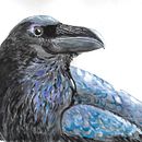 Mi Proyecto del curso: Técnicas experimentales de acuarela para principiantes . Un proyecto de Ilustración tradicional de Dani Castillo - 17.04.2020