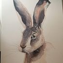 Mi Proyecto del curso: Técnicas experimentales de acuarela para principiantes . Un proyecto de Ilustración tradicional de Ana Valentina Ferrero Romero - 19.05.2020