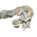 Equilibrio de Contrastes . % Andrés Gerardo Pineda Espinoza tarafından hazırlanan Mimarlık, He, Ve kel projesi - 04.18.2020