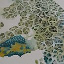 Micromundos. Un proyecto de Bellas Artes y Creatividad de Myriam - 18.04.2020