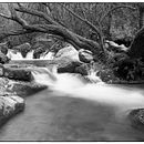 Mi Proyecto del curso: Revelado analógico en blanco y negro Ein Projekt aus dem Bereich Außenfotografie von Miguel Jarillo García - 18.04.2020
