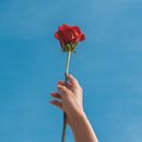 Cortometraje 'LÉO'. Een project van Audiovisuele productie van Dianne Victoria Checa Espinoza - 20.04.2020