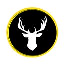 Desarrollo de marca agencia de contenido Deer Life. Content Marketing project by Abraham Labrador - 04.23.2020