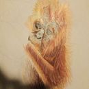 Taller de pintura para la relajacion. Een project van  Artistieke tekening van Irene Beatriz Rodríguez Pruneda - 25.04.2020