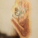 Dibujo para niños 2. Een project van  Artistieke tekening van Irene Beatriz Rodríguez Pruneda - 25.04.2020