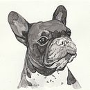 Boris. Un projet de Aquarelle de christinaisidromd - 26.04.2020