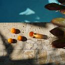 Mi Proyecto del curso: Fotografía de producto con luz directa del sol. Un progetto di Fotografia all'aperto di Maria Laura Martinez - 27.04.2020