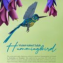 Mi Proyecto del curso: Técnicas avanzadas de papercraft: diseñando con papel. Un proyecto de Dirección de arte, Iluminación fotográfica, Ilustración botánica y Papercraft de Edmi Montoya - 28.04.2020