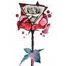 Ilustración Rosa. Een project van  Creativiteit, Traditionele illustratie,  Botanische illustratie y Digitale illustratie van Elena Novoa - 28.04.2020