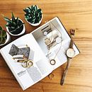 Mi Proyecto del curso: Viva la Fran. Un progetto di Design, Interior design, Marketing digitale e Marketing per Instagram di Francheska Merced Rivera - 29.04.2020