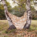 Scritto sulle foglie. Un progetto di Belle arti, Scultura, Fotografia, Fotografia artistica e Paesaggismo di Verónica Vicente - 01.01.2020