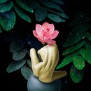 Cuerpos Celestes, colección de collages. Un progetto di Collage, Arte concettuale, Design e Fotografia artistica di saballosrene - 25.10.2017