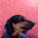 Mi Mascotas Kiahara. Un progetto di Belle arti, Arte concettuale, Creatività, Disegno artistico, Disegno digitale, Disegno realistico, Illustrazione tradizionale e Instagram di saballosrene - 13.02.2018