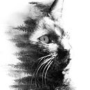 Ensoñación. Fine-Art Photograph, and Traditional illustration project by Caro Calderón - 04.30.2020