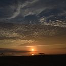 Mi Proyecto del curso: Introducción a la fotografía digital . Fotografie și Fotografie digitală de rafael_cieza - 04.30.2020