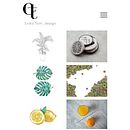 My project in Professional Illustration: Turn Your Passion into a Career course Ein Projekt aus dem Bereich Botanische Illustration, Designverwaltung, E-Commerce, Traditionelle Illustration, Instagram, Produktdesign, Aquarellmalerei und Webdesign von Enikő Tóth - 02.05.2020
