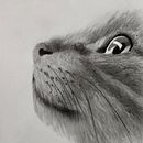 Dibujo de Gato  . % Steven Arauz tarafından hazırlanan Kalem Çizimi projesi - 05.05.2020