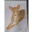 Mi Proyecto del curso: Técnicas experimentales de acuarela para principiantes . Projekt z dziedziny Trad, c, jna ilustracja,  Sztuki piękne, Malowanie akwarelą, Ilustracja naturalist i czna użytkownika beagoda - 01.05.2020