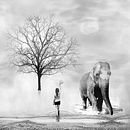 Mi Proyecto del curso: Fotomontaje surrealista con Photoshop . Un proyecto de Fotografía digital de João Carlos Deon - 09.05.2020