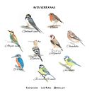 Proyecto2:NATURALEZA. Un progetto di Pittura ad acquerello, Disegno, Illustrazione tradizionale e Illustrazione naturalistica di Lola Rubio - 09.05.2020