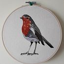 Mi Proyecto del curso: Pintar con hilo: técnicas de ilustración textil Ein Projekt aus dem Bereich Stickerei von Nickole Cantero Cofré - 09.05.2020