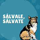 Mi Proyecto del curso: Creatividad publicitaria para todos los públicos: Sálvale, sálvate. Un proyecto de Creatividad de Amelia Polo - 12.05.2020