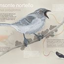 My project in Naturalist Animal Illustration with Procreate course. Projekt z dziedziny Ilustracja c i frowa użytkownika M IJ - 12.05.2020