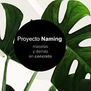 Mi Proyecto del curso: Naming: Macetas y más en concreto.. Un progetto di Street Art, Interior Design e Naming di Gabby Castro Corrales - 12.05.2020