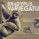 Mi Proyecto del curso: Ilustración naturalista de animales con Procreate. Sketching, Drawing, Digital Drawing, Traditional illustration, and Digital Illustration project by Miguel angel Lopez castellanos - 05.12.2020