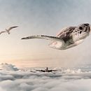 Mi Proyecto del curso: Fotomontaje surrealista con Photoshop . Een project van Collage,  Concept art,  Creativiteit,  Ontwerp y Digitale illustratie van Sarah Chaparro - 13.05.2020