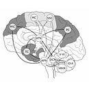 Vectorial brain conections. Een project van Digitale illustratie y Vectorillustratie van Javier Lázaro - 01.09.2019