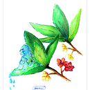 Aquarela Amandi. Un proyecto de Ilustración tradicional de Marina Pantoja - 15.05.2020