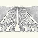 Lines. Projekt z dziedziny Trad, c i jna ilustracja użytkownika ideainahead - 18.01.2018