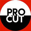 Mi Proyecto del curso: Animación para composiciones tipográficas. Un proyecto de Cine y Composición fotográfica de Gonzalo Salanova - 18.05.2020