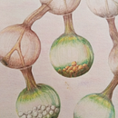 Árvore binária 001 Ein Projekt aus dem Bereich Traditionelle Illustration und Bleistiftzeichnung von Maria Alice S Castro - 20.05.2020